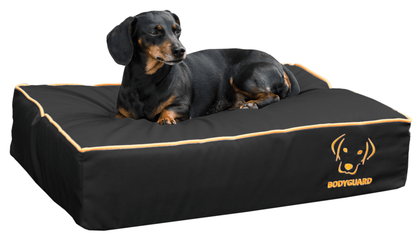 BodyGuard Royal Bed S Black freeshipping - The Pupper Club