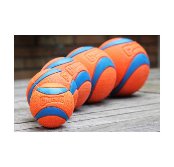 ChuckIt Ultra Ball L - The Pupper Club