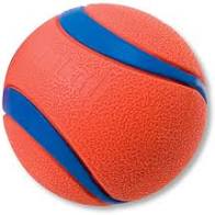 ChuckIt Ultra Ball L freeshipping - The Pupper Club