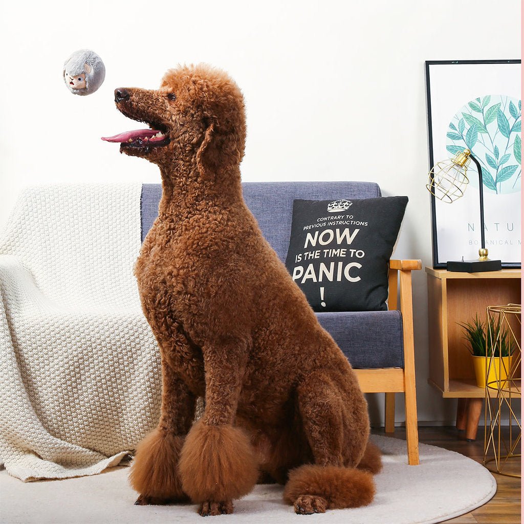 HugSmart SuperBall Sheep - The Pupper Club