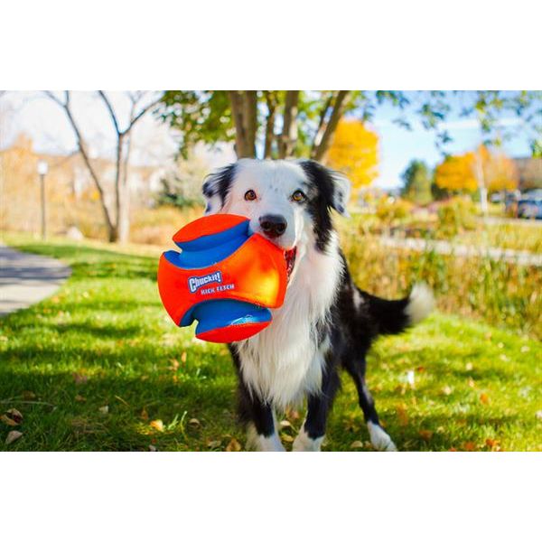 Chuckit Kick Fetch