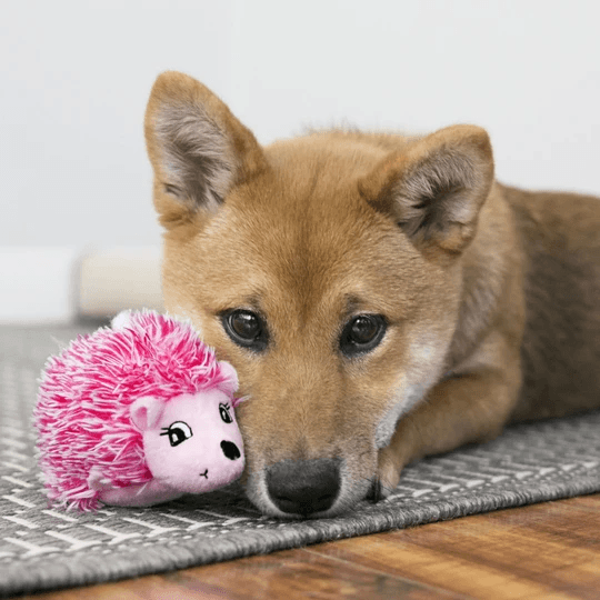 KONG Comfort HedgeHug freeshipping - The Pupper Club
