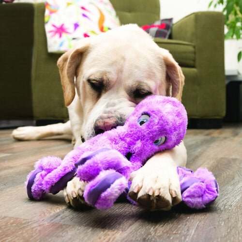 KONG SoftSeas Octopus Small - The Pupper Club