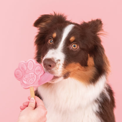 Smoofl StarterKit Medium - The Pupper Club